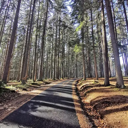 Lipno - Kovarov Pro Cyklisty A Motorkare Frymburk